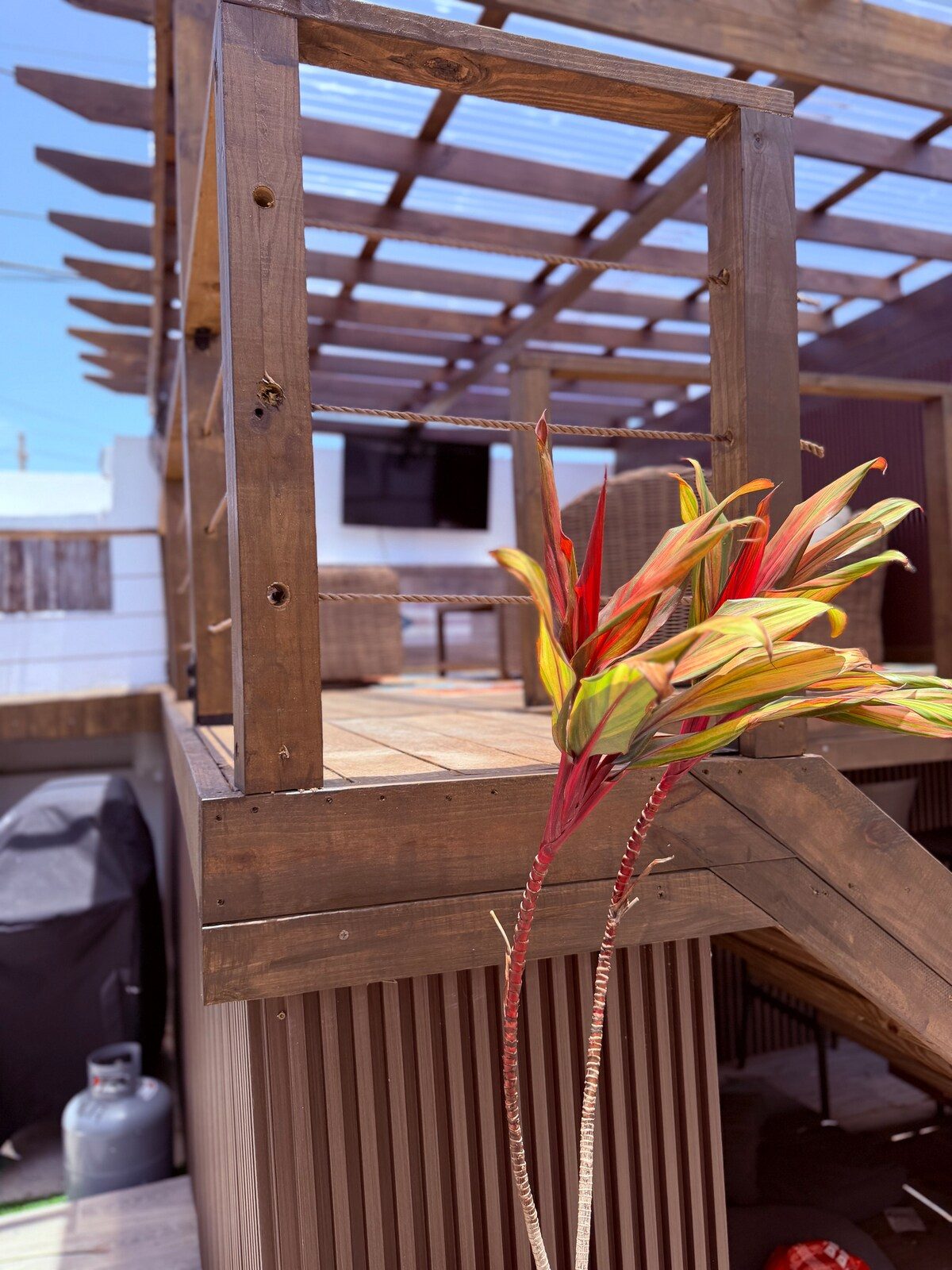 Casa Linda — real property photo 6